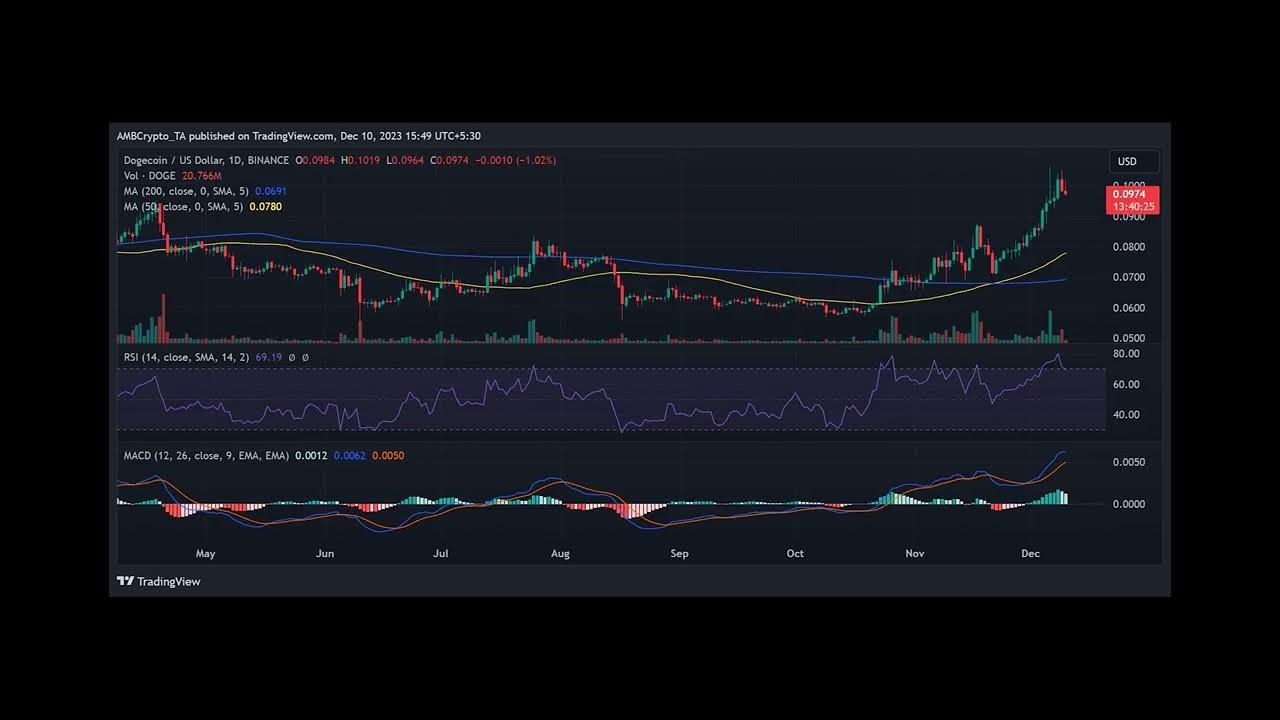 Floki 今年的表現會超越狗狗幣嗎？