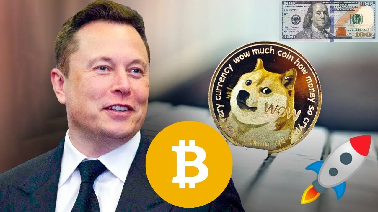 Bitcoin, Dogecoin Or Fiat As World Reserve Currency?