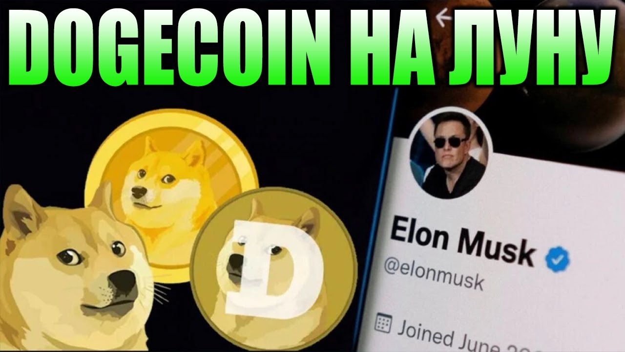 Musk Pumped Dogecoin to the Moon - Large-scale Launch of Doge-1