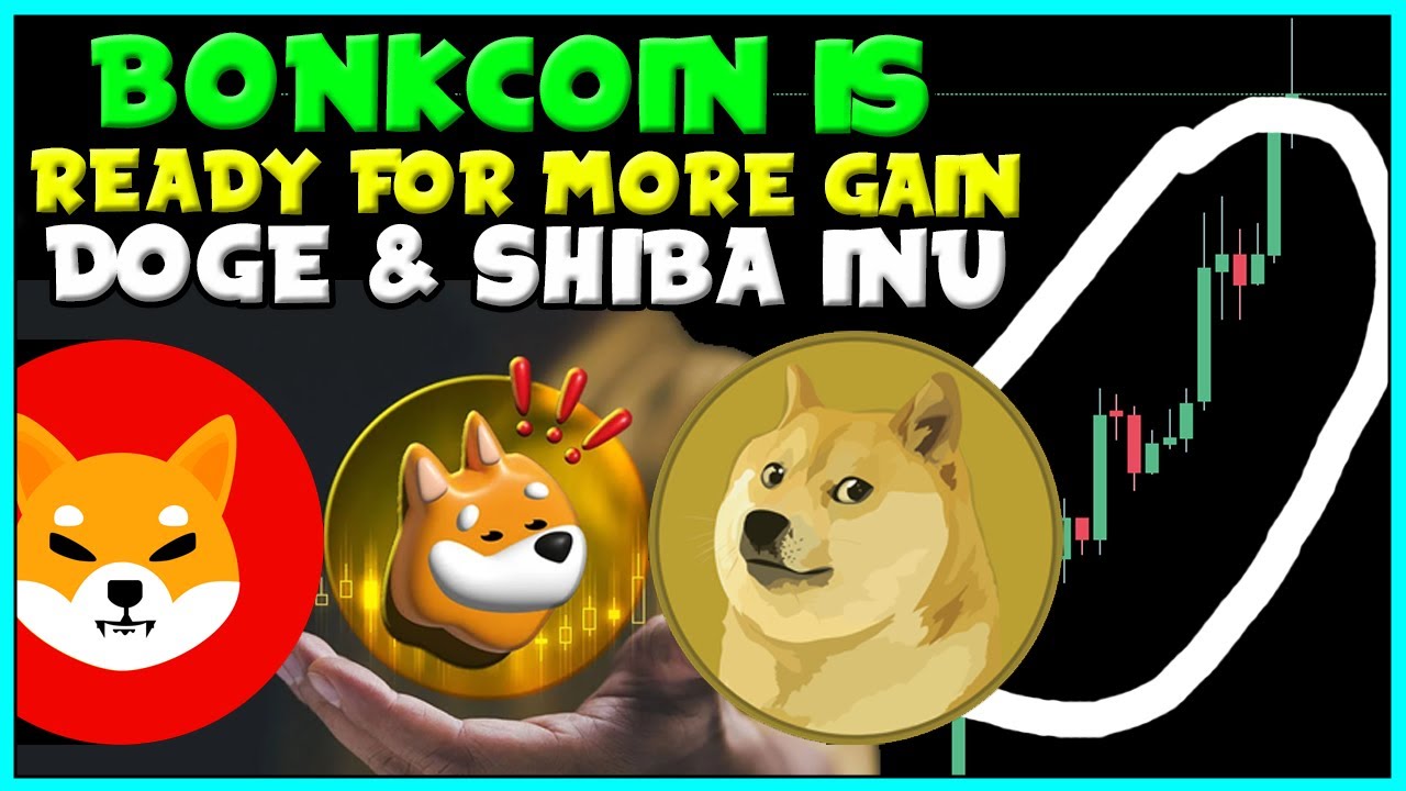 ALL SOLANA'S BONK COIN HOLDERS DONT BE FOOLED! 🥶 - Dogecoin & Shiba Inu Break! 👊 BONKCOIN PREDICTION