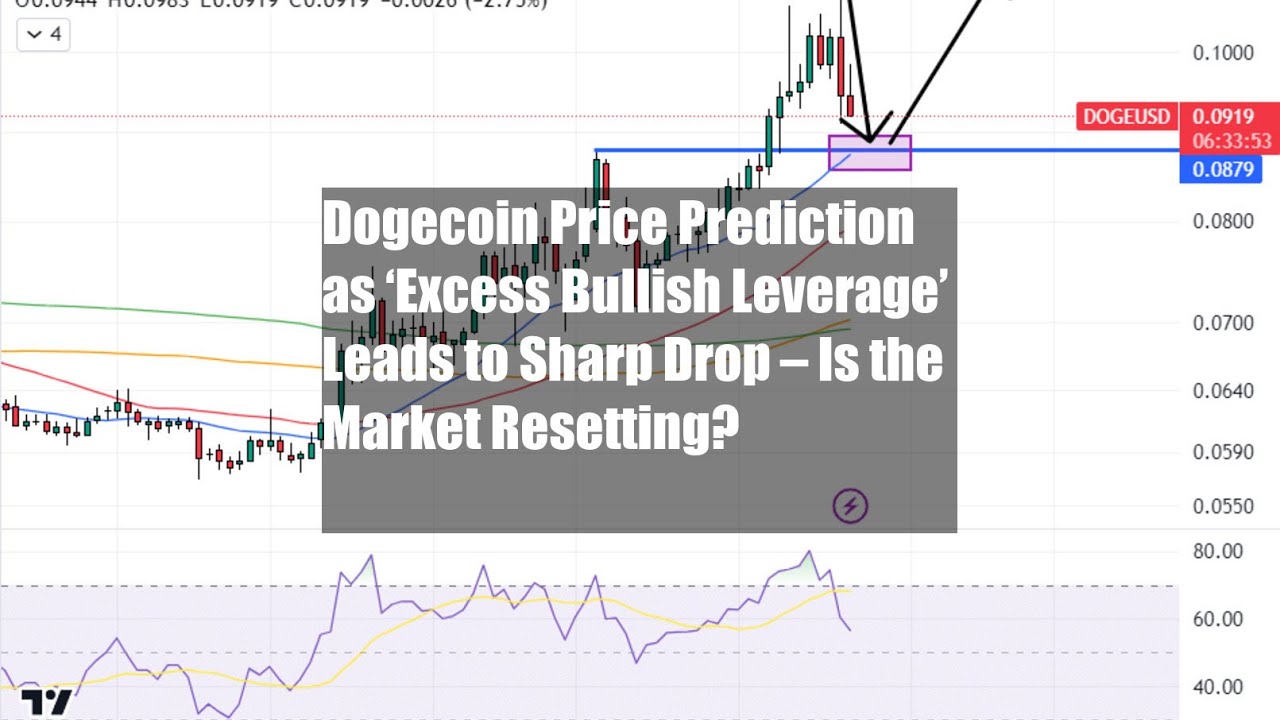 「過剰な強気レバレッジ」としてのドージコイン価格予測がシャープにつながる
