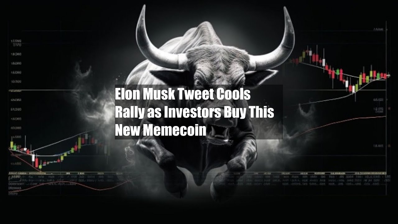 Elon Musk Tweet Cools $DOGE Rally as Investors Buy This New Memecoin