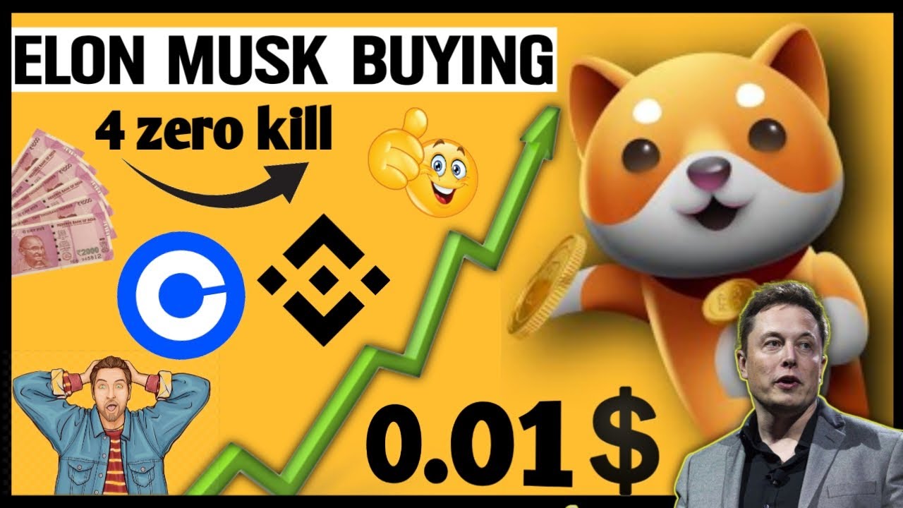 Baby Dogecoin Added On Elon Musk Portfolio? 🚀🥳🚀 BabyDoge Future 🔥 Today Crypto News