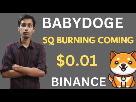 Baby Dogecoin News Today | Upcoming 5Q Burning | BabyDoge Coin Price $0.01 | Binance Listing