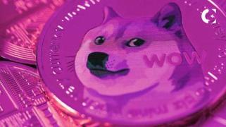 AKTUELLE NACHRICHTEN: KANN DOGE DIE WEITERENTWICKLUNG VON SHIB UND BONK ÜBERLEBEN?