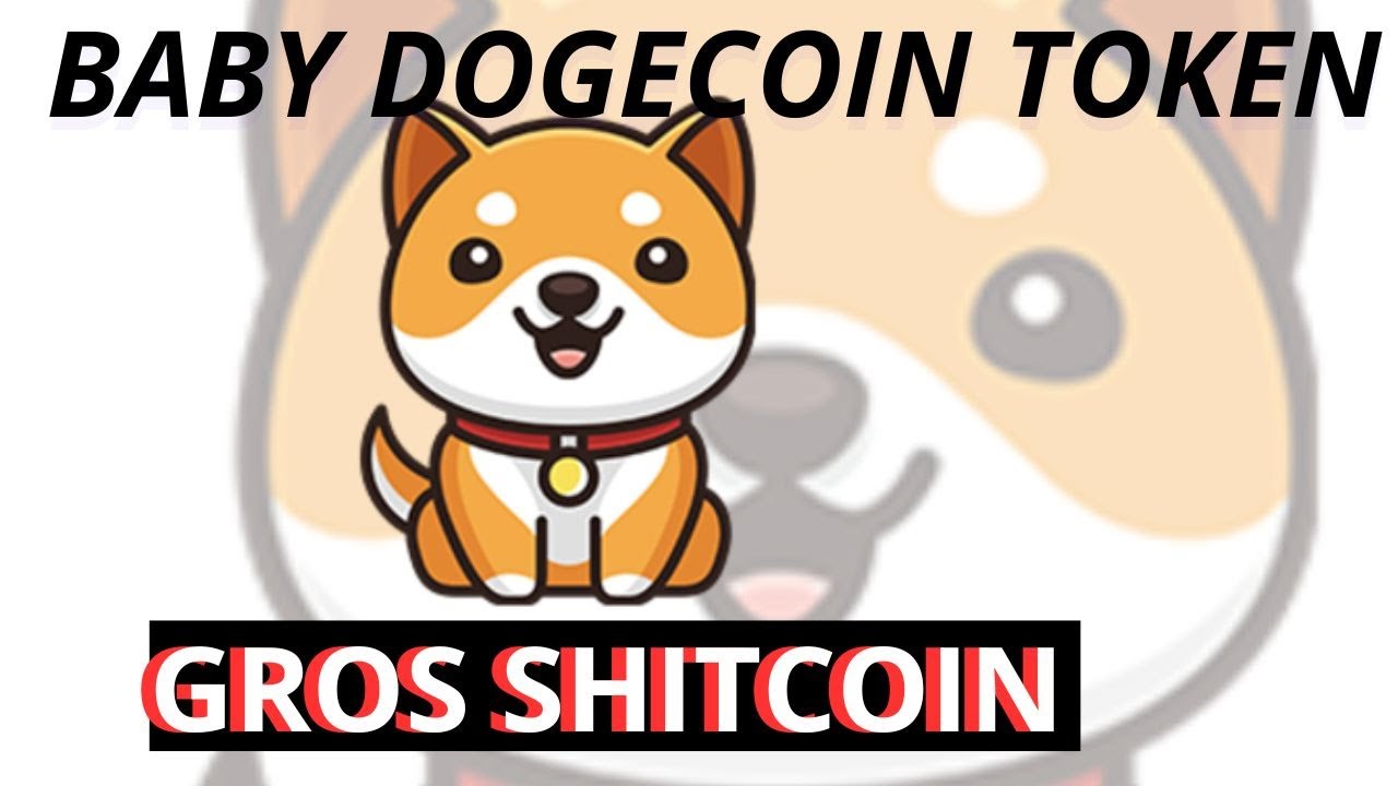 Sie bereuen, in BABY DOGECOIN investiert zu haben. Ich erkläre dir alles in diesem Video[babydoge]