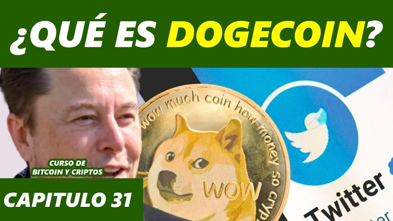 What is Dogecoin? Elon Musk's favorite cryptocurrency, The Shiba Inu Cap Dog Memecoin. 31