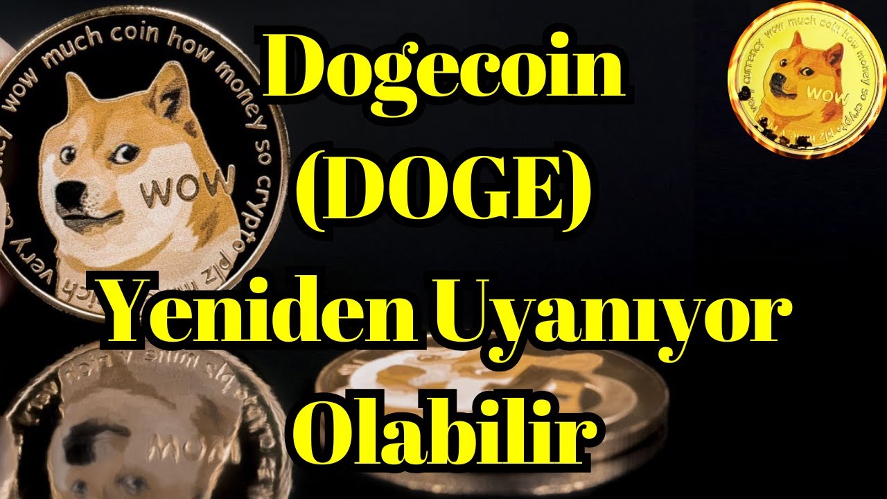 암호화 음성 뉴스 | Dogecoin (DOGE)이 다시 깨어날 수 있습니다. 그 이유는 다음과 같습니다.