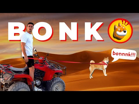 Is Solana's $BONK the next Dogecoin?