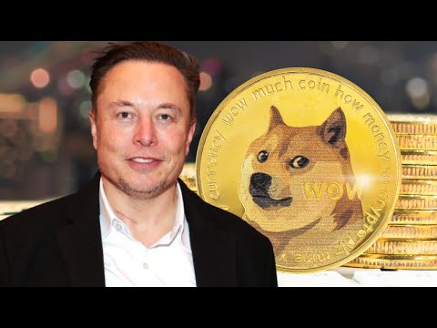 Elon Musk Thoughts on Dogecoin.