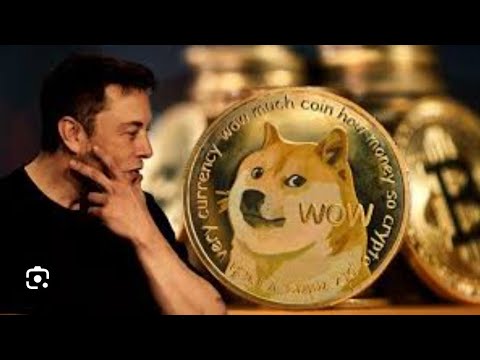 Made 24,000 free Dogecoin.