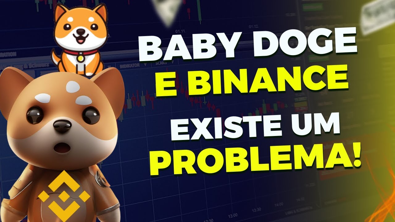 Baby Doge et Binance, IL Y A UN PROBLÈME !