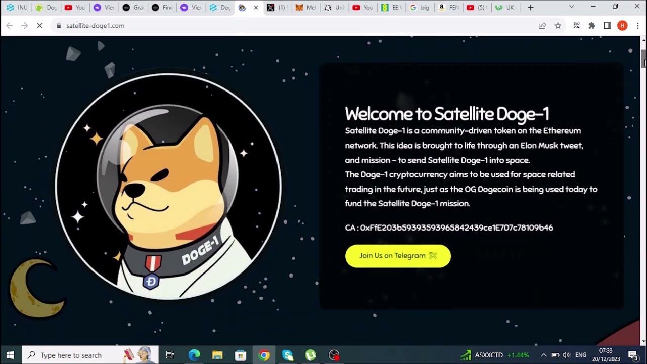 Satellite Doge 1