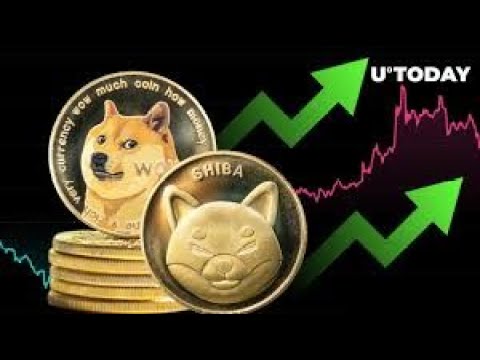 SHIBA, DOGE, MATIC AND ADA: THIS IS THE LAST BUYING OPPORTUNITY BEFORE THE MEGA EXPLOSION!🚀BITCOIN IS RELEASING ALTCOINS...🔥