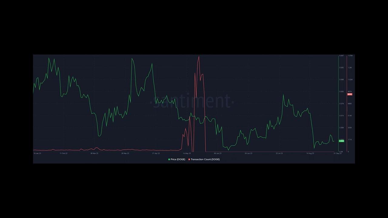 Dogecoin’s over-reliance on Musk, X – Will DOGE pay the price in 2024?