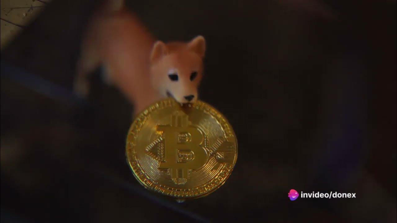 DogeCoin  The Next Bull Run 2024