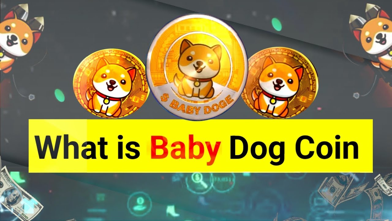 What is Baby doge coin | baby doge coin crypto | online money earning investment