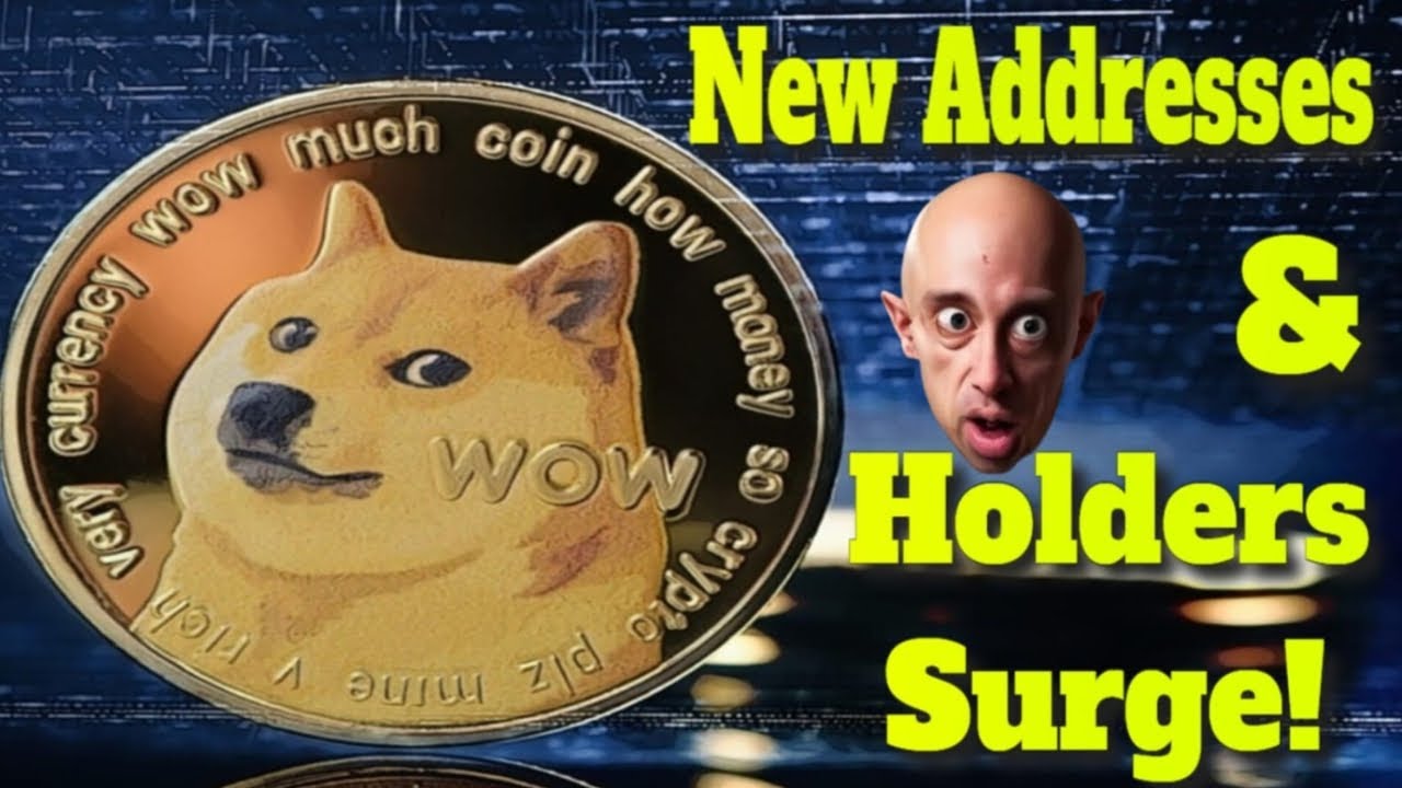 Dogecoin Investor Confidence in Doge Rises | Dogecoin New Addresses & Holders Surge | Dogecoin News