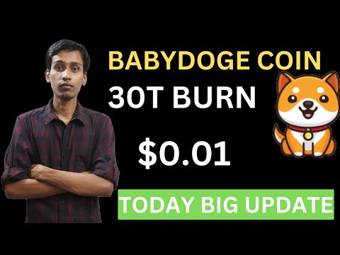 Baby Dogecoin News Today | 30 Trillion Burn | BabyDoge Coin Price $0.01 | Binance Listing