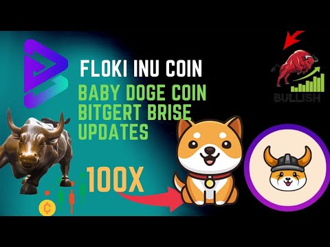 Floki Inu - Bitgert - Baby Doge Coin Updates | Floki inu news | Bitgert Brise Updates