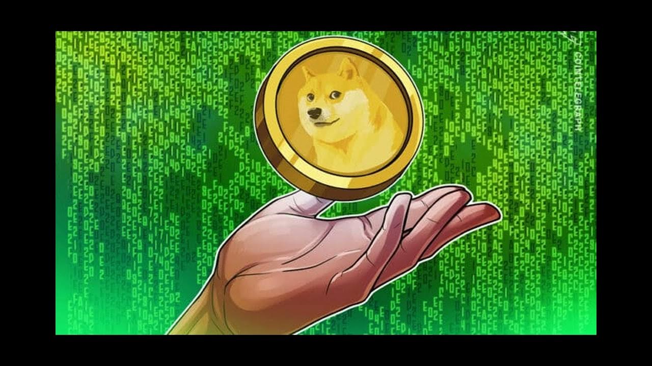 A Single Whale Moved 230 Mln DOGE Tokens To Robinhood, Has DOGE Price Topped?