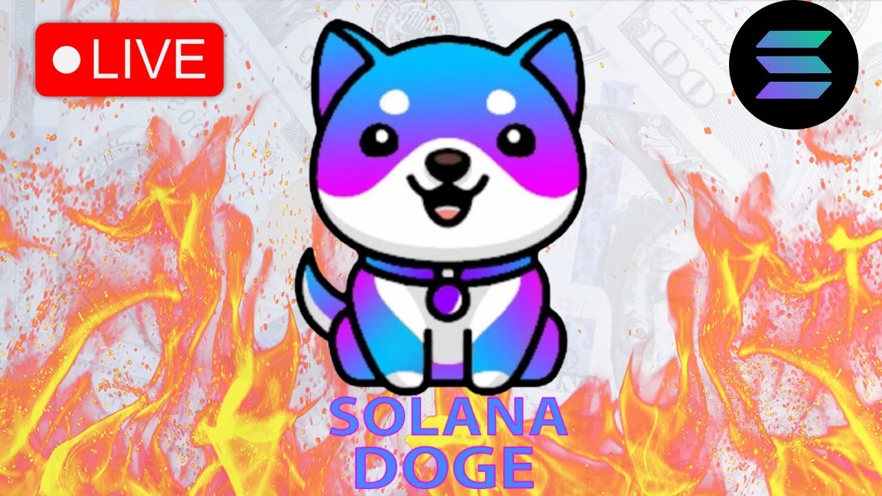 SDOGE • NEXT 100X CRYPTO GEM?! SOLANA DOGE • TOKEN REVIEW 💎 🔥