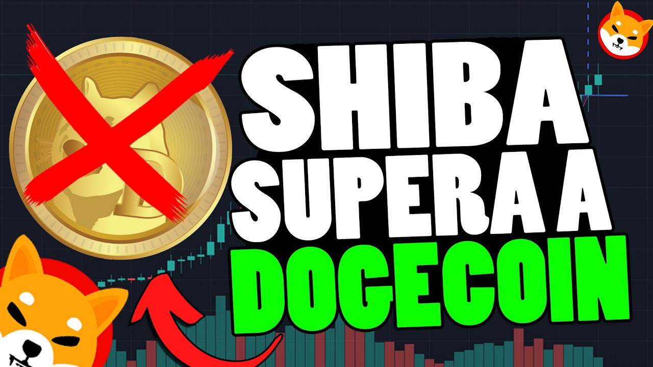 SHIBA WILL OVERCOME DOGECOIN! | THIS WILL CHANGE EVERYTHING | SHIBA'S MAIN GOAL WILL BE FULFILLED!