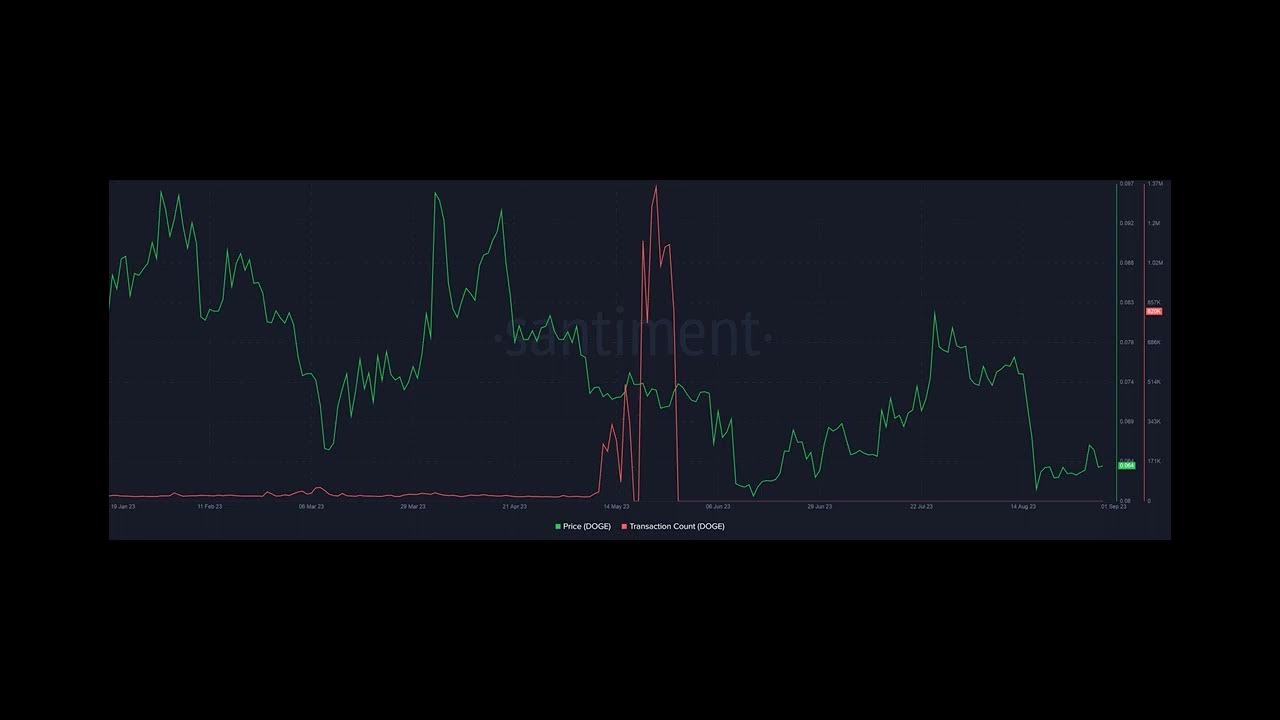 Why Dogecoin will remain relevant in 2024 with or without Musk