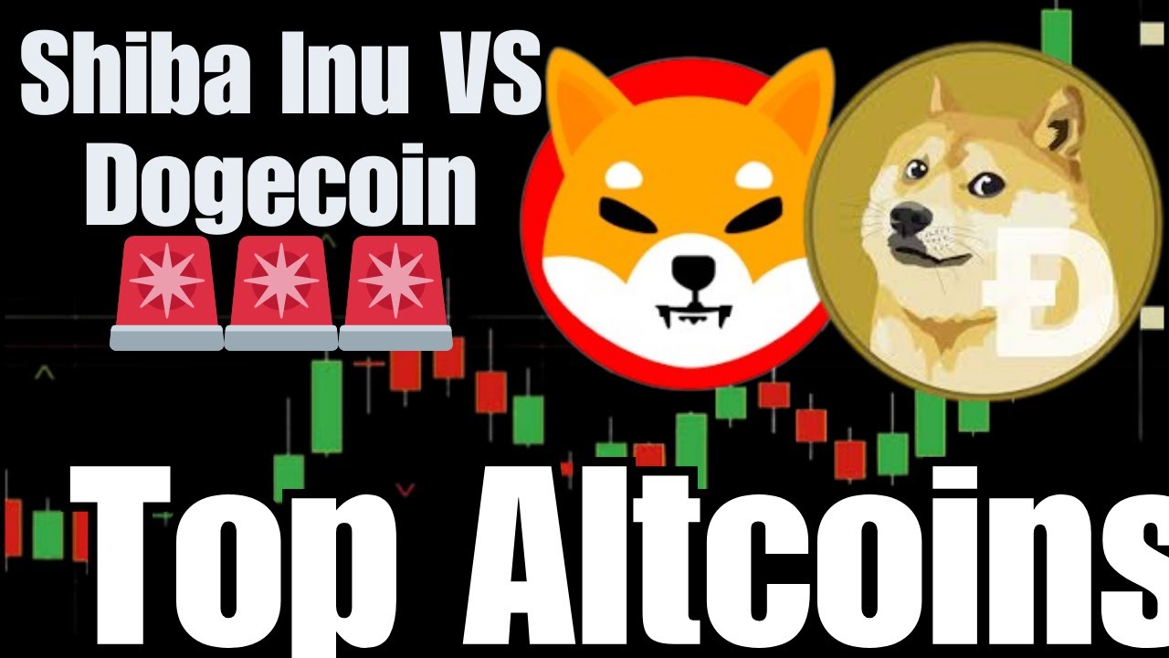 Can Shiba Inu flip Dogecoin in 2024? || Technical Analysis and Prediction 2024