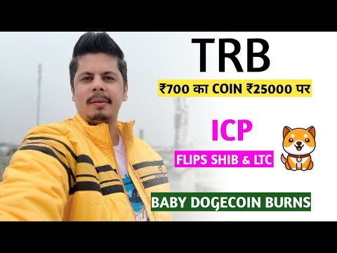 ₹700 का Coin ₹25000 पर | Baby Dogecoin Burns | Icp Flip Shiba Inu & Litecoin