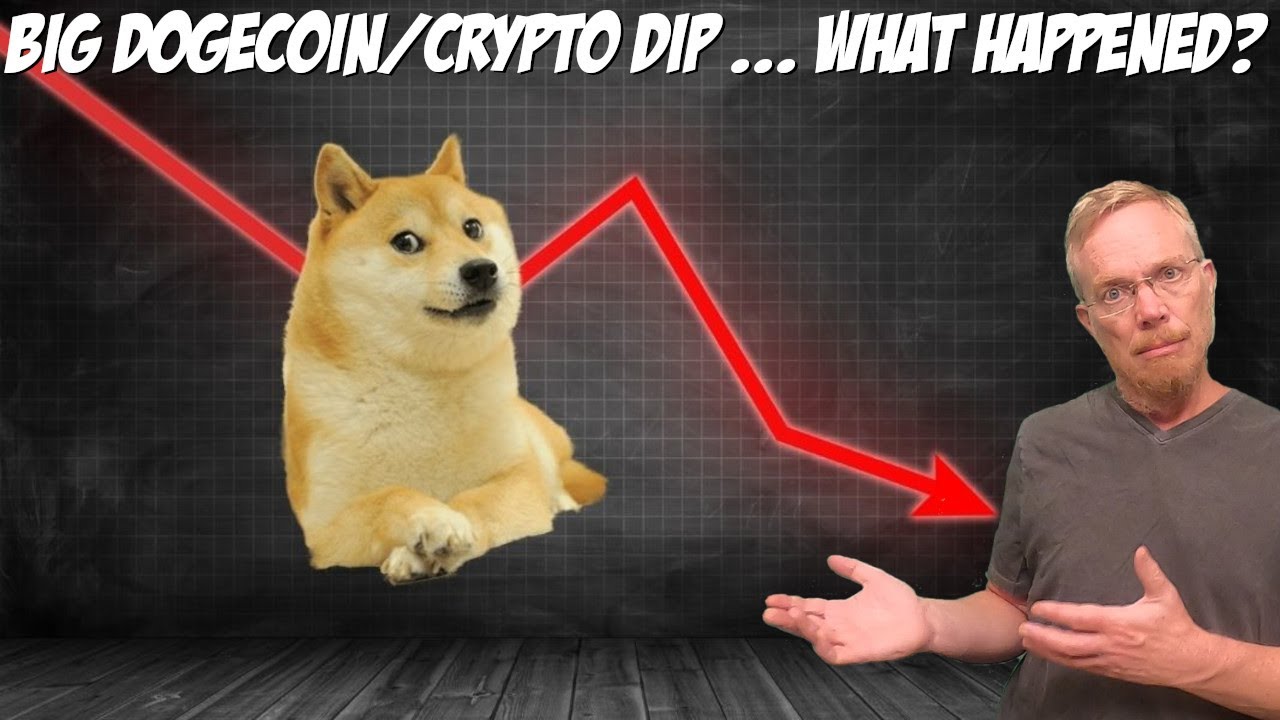 Big Dogecoin / Crypto Dip ... What Happened?