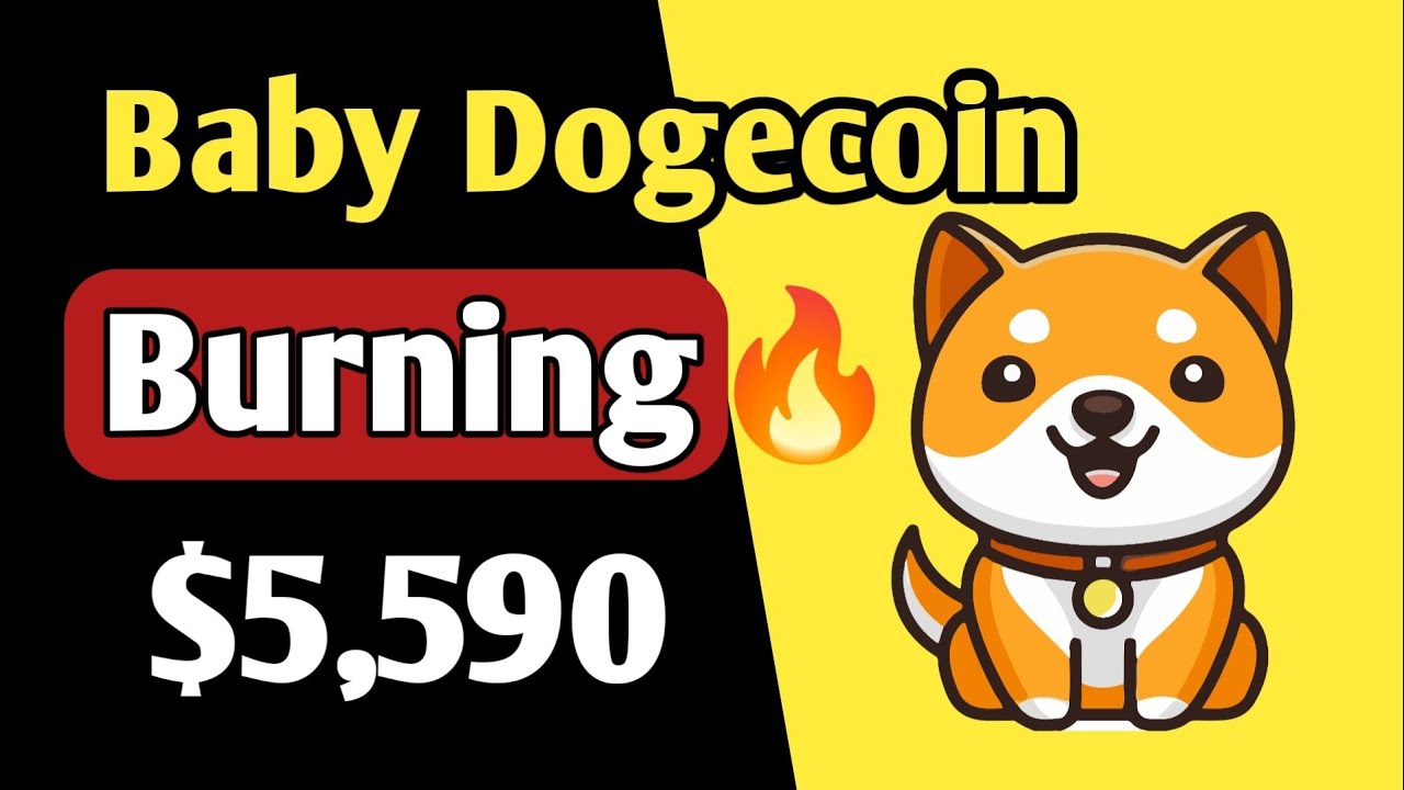 Baby dogecoin Burning $5590 | baby dogecoin news today | ALL BTC