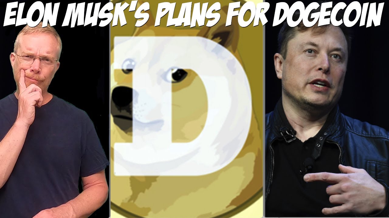 Elon Musk's Plans for Dogecoin