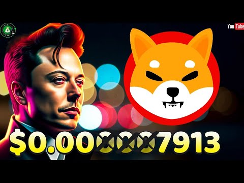 SHIBA INU 和 DOGECOIN – 2024 年投資？密碼分析