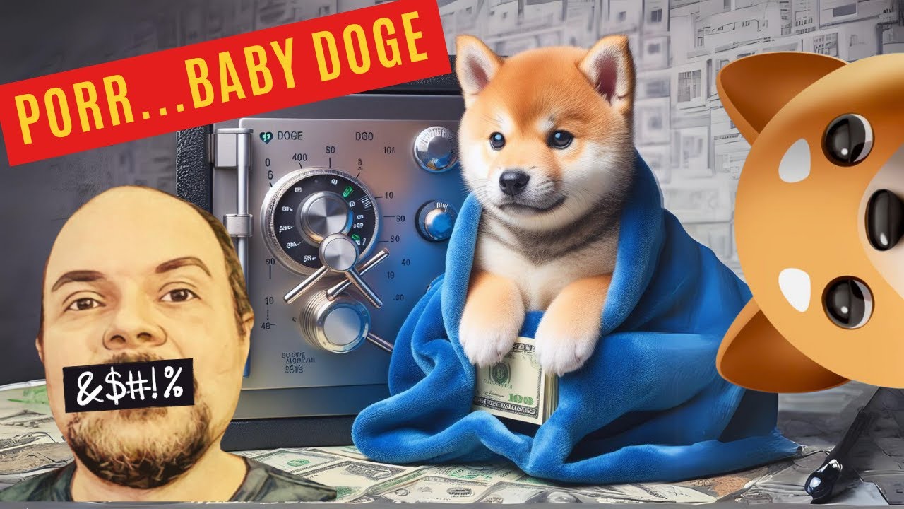 BABY DOGE DOING CONTROVERSIAL THINGS