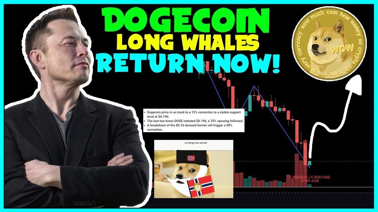 *CRUCIAL* NEWS FOR ALL DOGECOIN INVESTORS FAST! (FEAR NEWS!) Elon Musk, SPACEX MISSION, TRENDLINE!