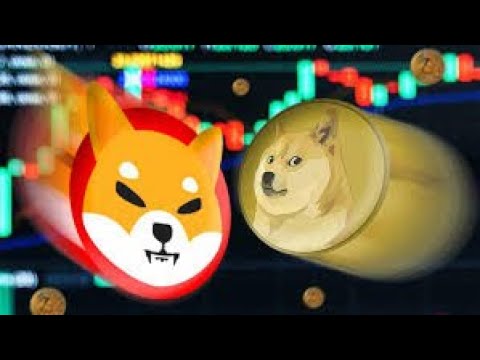 AVOID ARB, ICP AND SEI: DON'T MISS NEXT WEEK FOR SHIBA, DOGECOIN, HEDERA AND VECHAIN🚀