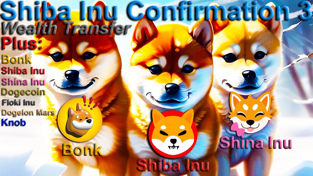 Wealth Transfer BONK Shiba Shina Doge Floki Dogelon Knob Shila 🦊 Shiba Inu Confirmation 3 🦊2024