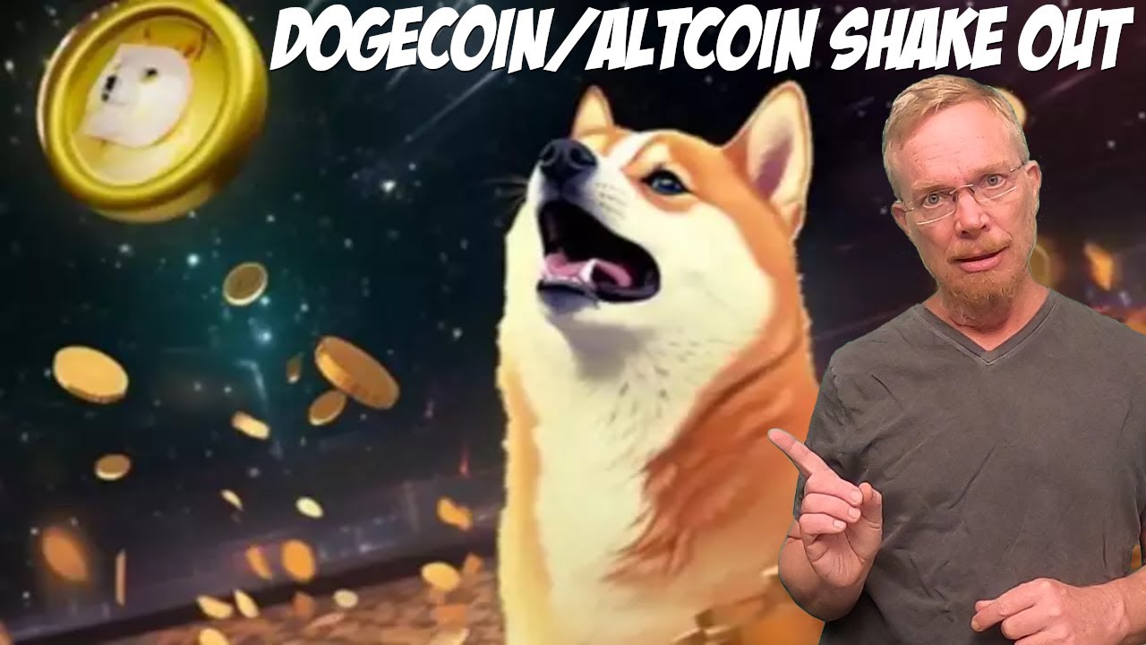 Dogecoin / Altcoin Shake Out