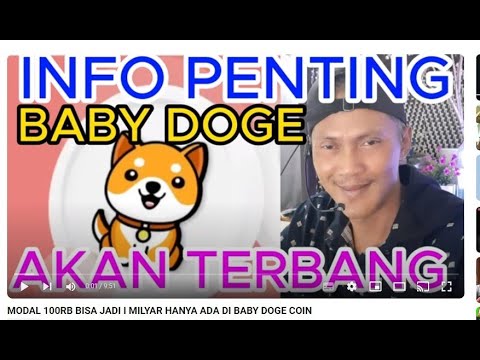 CAPITAL OF 100 thousand COULD BE I BILLION ONLY IN BABY DOGE COIN