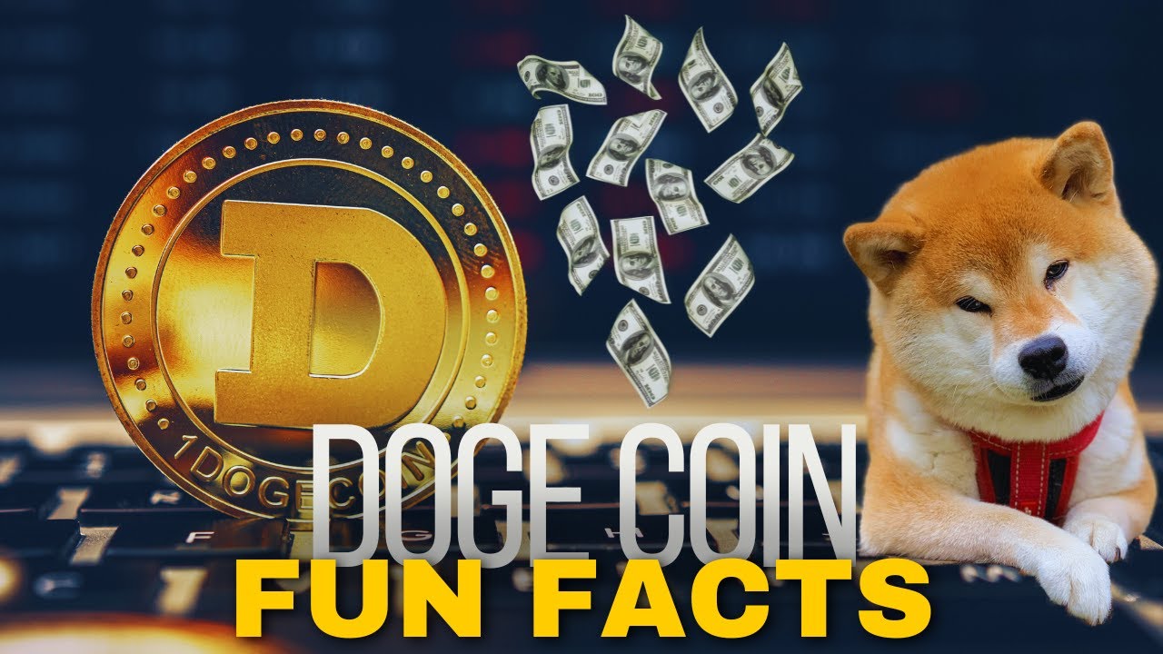 Why Crypto bitcoin dogecoin Crashed Fun Facts