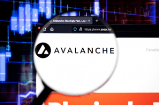 По мере того, как Avalanche и Dogecoin исчезают, новые альтернативы облигациям, похоже, значительно вырастут.