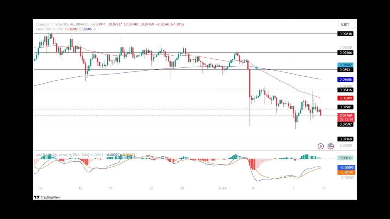 Dogecoin Price Hints Massive Price Correction! Is It A Crucial Time To Hold DOGE Memecoin?