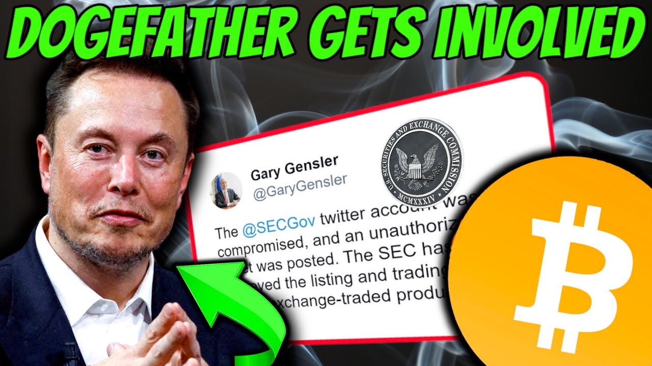 DOGECOIN BREAKING NEWS!  Elon Musk Gets Involved! #bitcoin ETF and MORE!