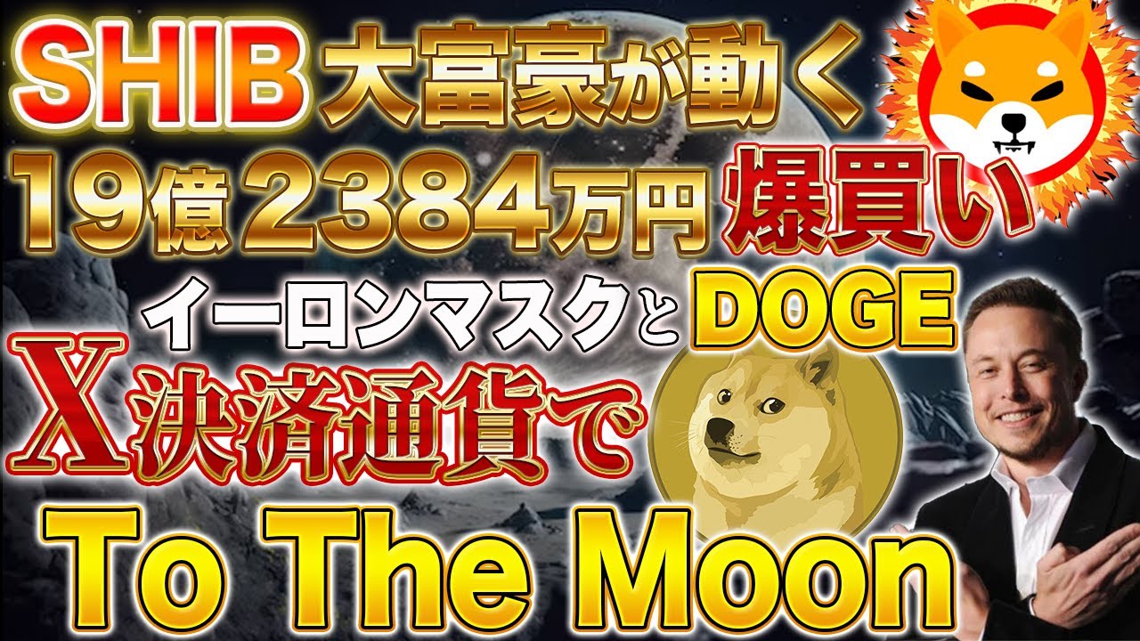 Shibainu Coin and DOGE [ToTheMoon with X payment currency confirmed] Millionaires also buy big and get the expected value! [Virtual currency] [Sibarium]