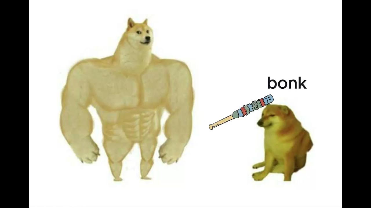 doge getting bonked