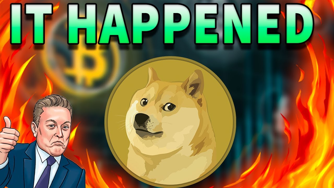 Doge Declaration -  Unveiling Elon Musk's Ongoing Dogecoin Ownership Revelation!