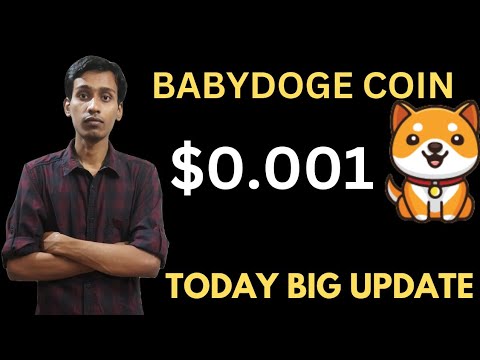 Actualités Baby Dogecoin aujourd'hui | 5Q brûlant | Pompe à prix des pièces BabyDoge 100x | Liste Binance