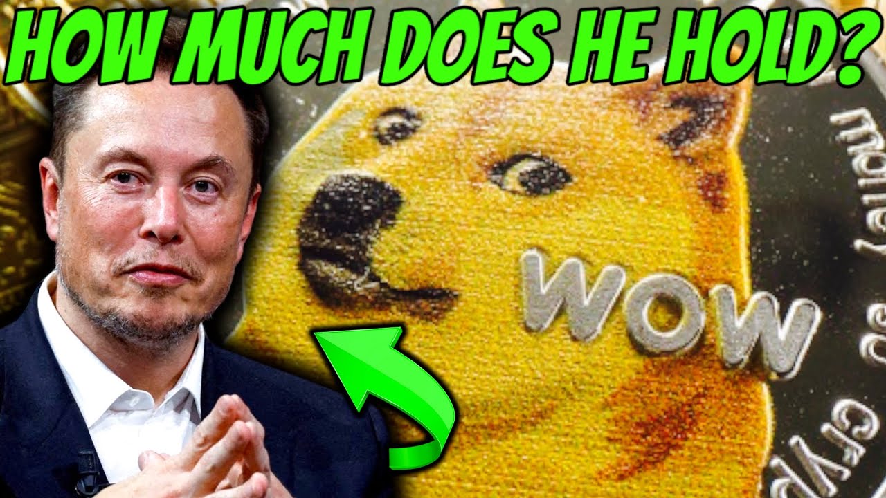 🚀 DOES ELON MUSK HOLD DOGECOIN RIGHT NOW?