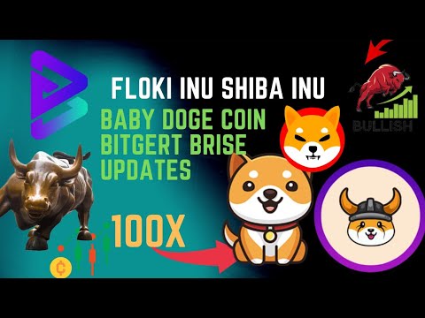 Shiba Inu Coin | Floki Inu Coin News | Bitgert Brise Coin | Baby Doge Coin News & Updates